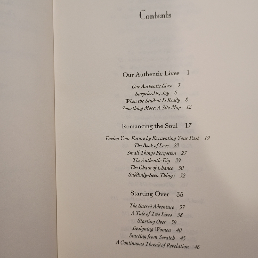 VTG 1998 Warner Books‎ Something More Excavating Authentic Self Breathnach HC - Picture 5 of 8